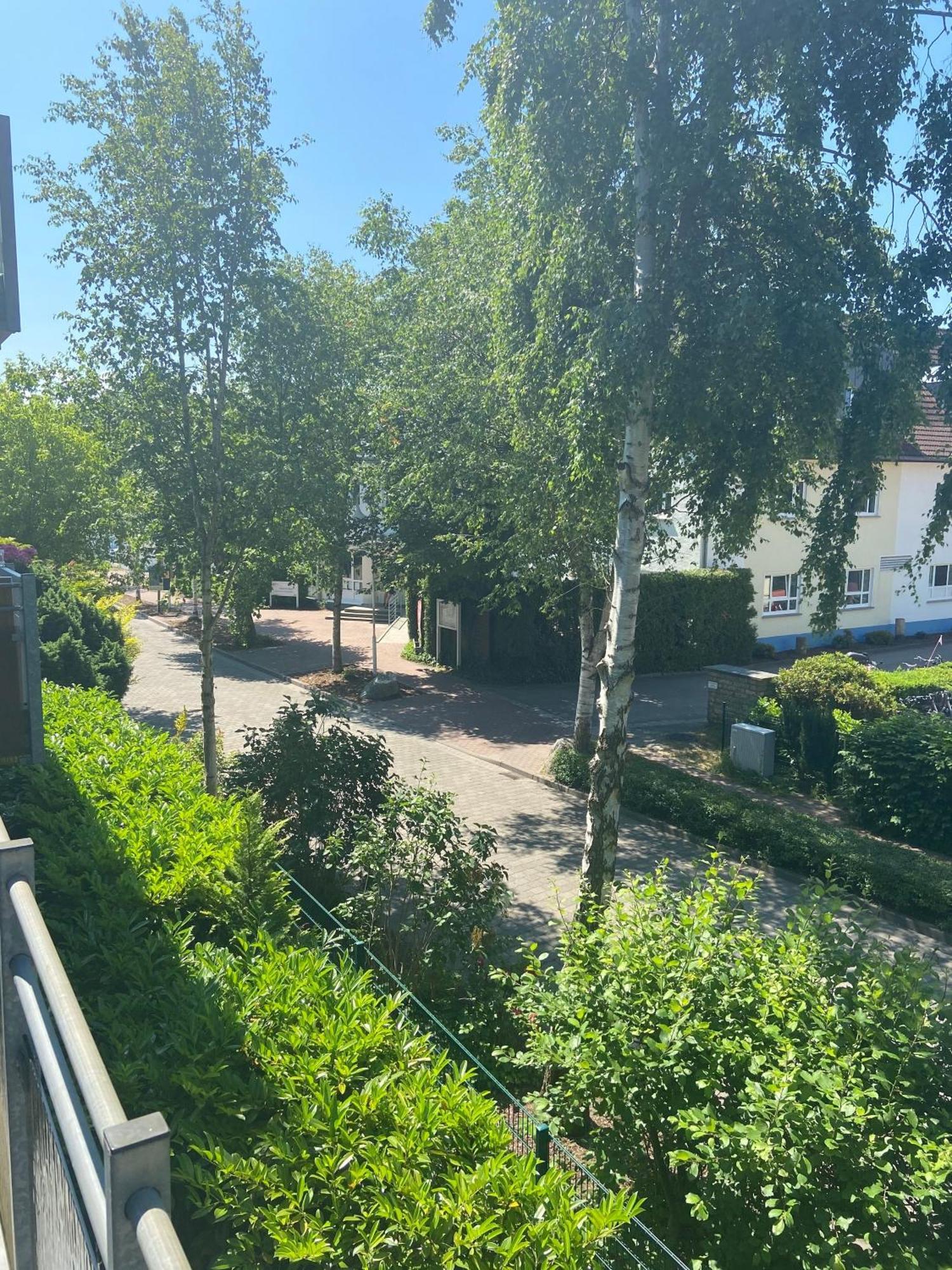 Meeresrauschen Zingst Ngoại thất bức ảnh